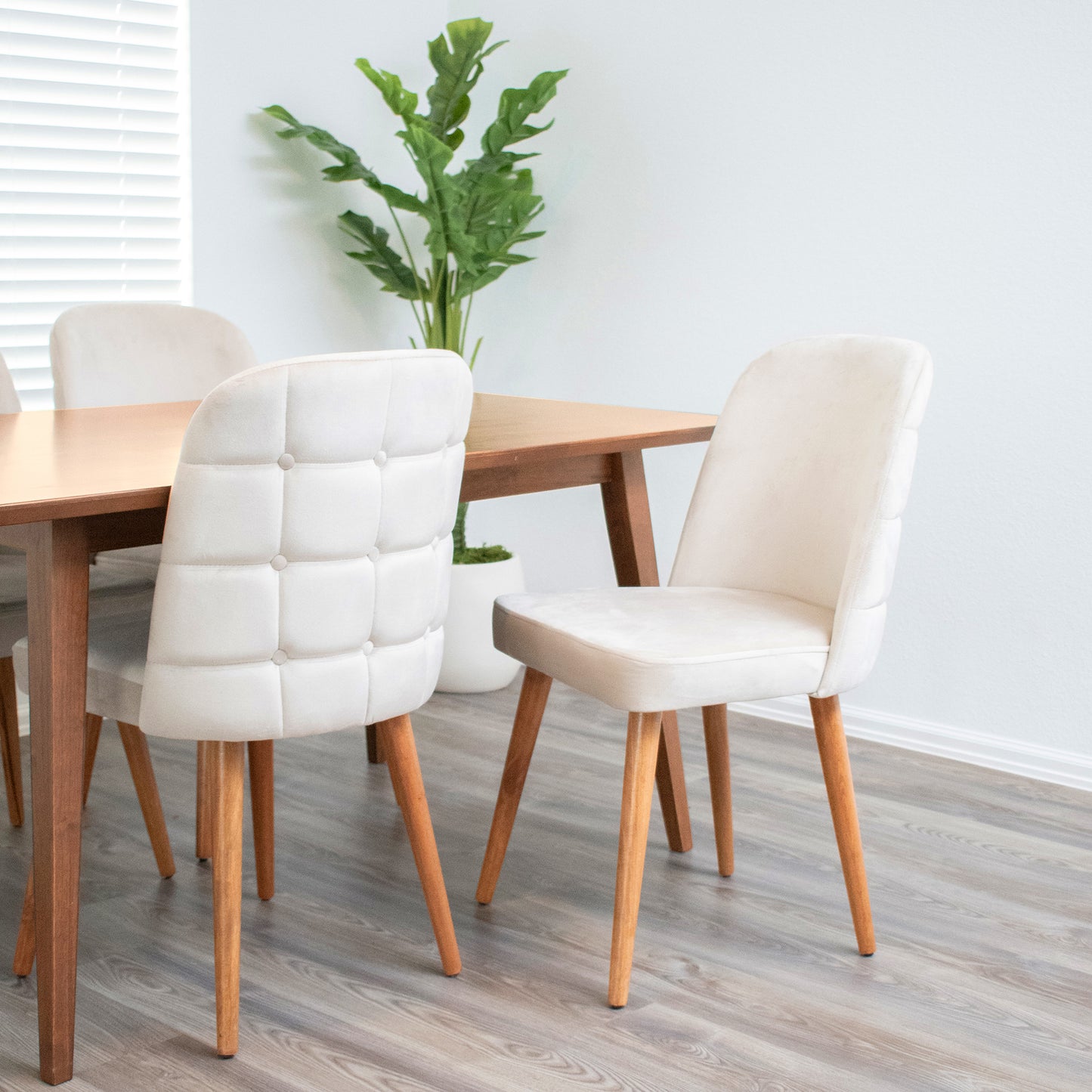 Taylor Velvet Upholstered Dining Chair (Set of 2) – Joymodern Furniture